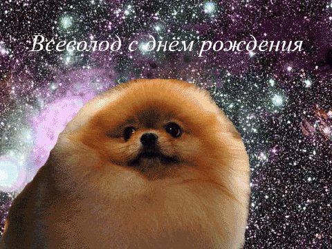 4 у у сюнём рождения 7 4 4 a В