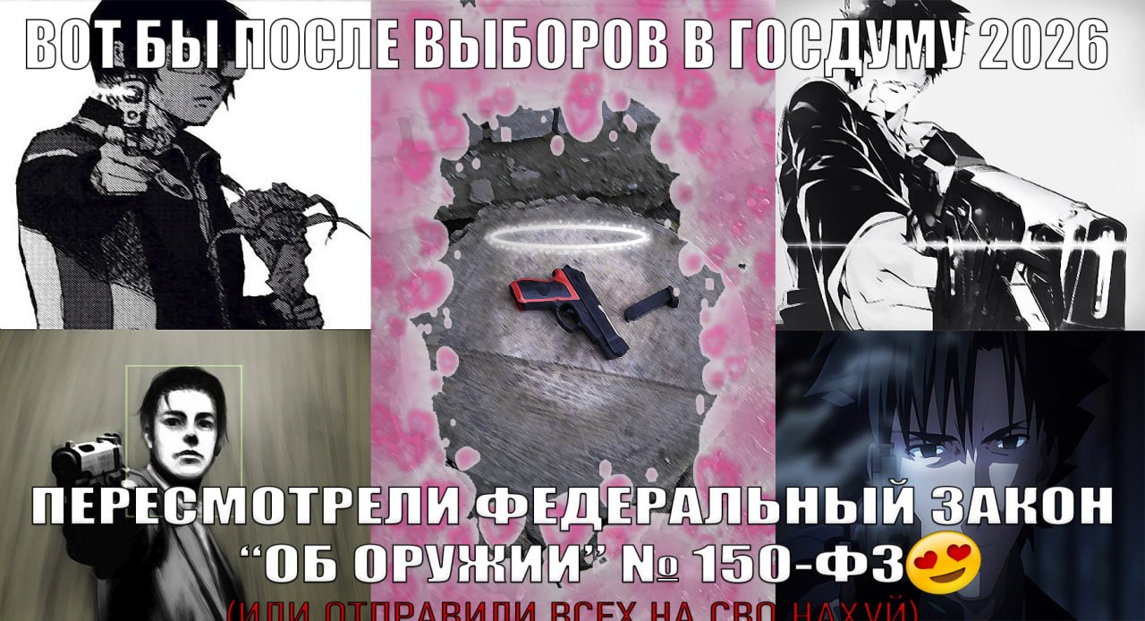BOT В ПЕРЕСМОТРЕЛИ ФЕДЕРАЛЬНЫЙ ЗАКОН ОРУЖИИ”