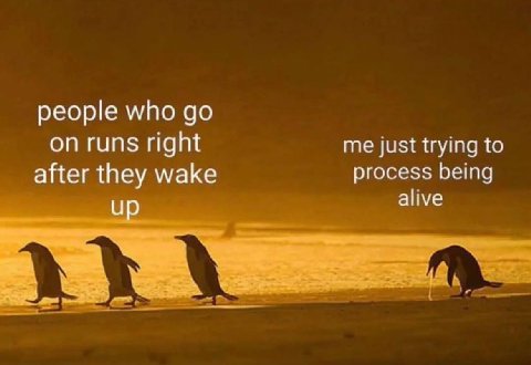 people who right me just trying to after they wake process being up alive