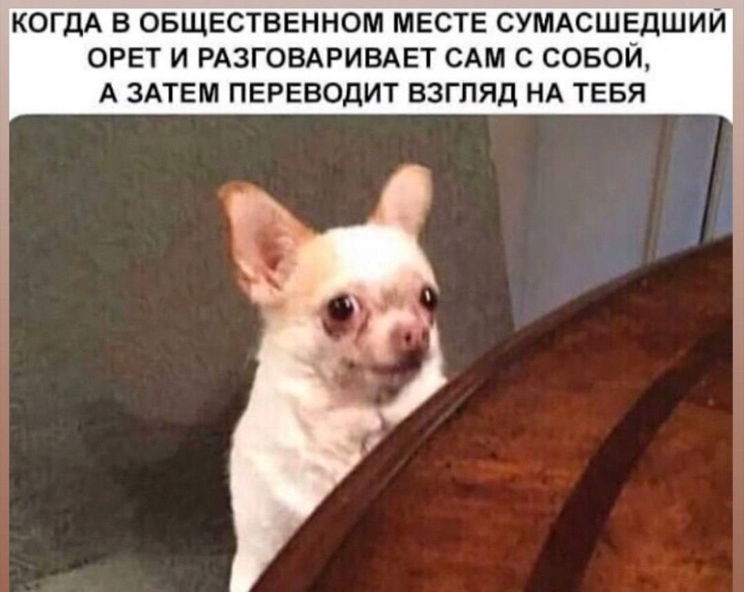 КОГДА В ОБЩЕСТВЕННОМ МЕСТЕ СУМАСШЕДШИЙ ОРЕТ И РАЗГОВАРИВАЕТ САМ С СОБОЙ, А ЗАТЕМ ПЕРЕВОДИТ ВЗГЛЯД НА ТЕБЯ
