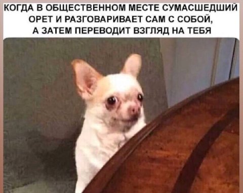 КОГДА В ОБЩЕСТВЕННОМ МЕСТЕ СУМАСШЕДШИЙ ОРЕТ И РАЗГОВАРИВАЕТ САМ С СОБОЙ, А ЗАТЕМ ПЕРЕВОДИТ ВЗГЛЯД НА ТЕБЯ