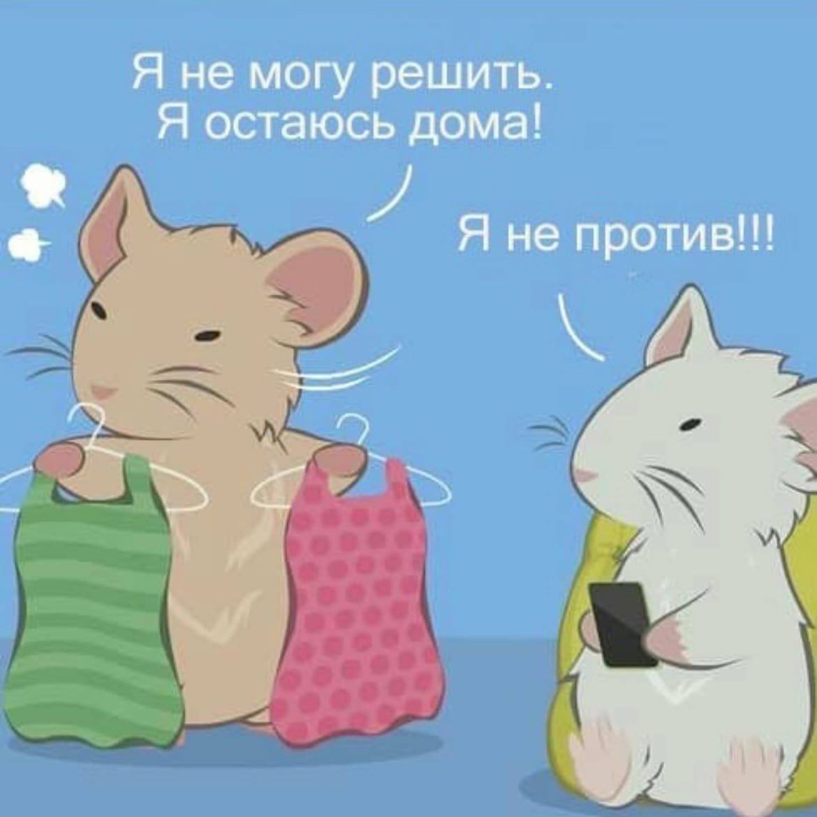 Я не могу решить. Я остаюсь дома! Я не против!!!