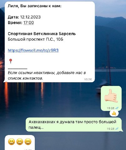 Немного клиентоориентированности от ветклиники 🤙🏻