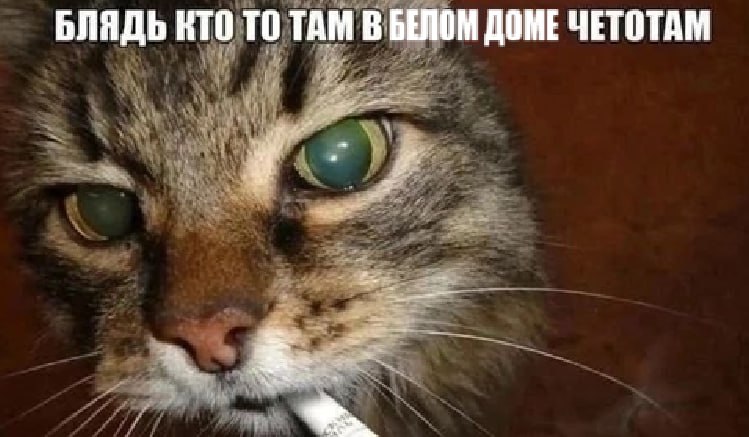 БЛЯДЬ КТО ТО ТАМ В БЕЛОМ ДОМЕ ЧЕТОТАМ