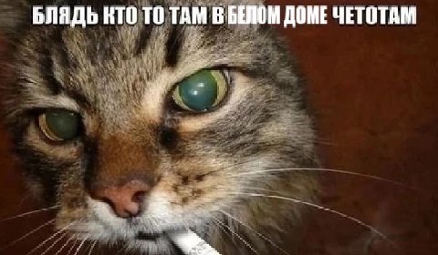 БЛЯДЬ КТО ТО ТАМ В БЕЛОМ ДОМЕ ЧЕТОТАМ
