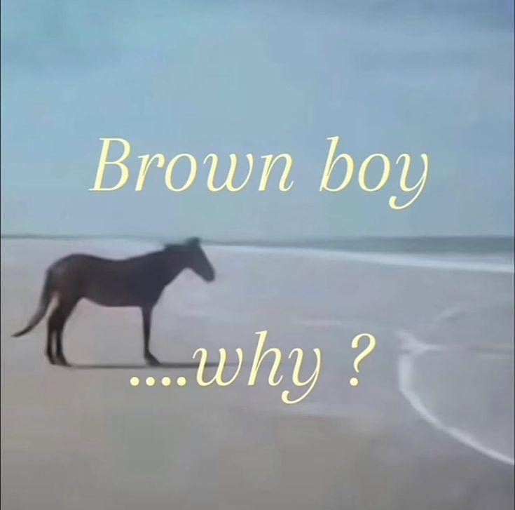 Brown boy