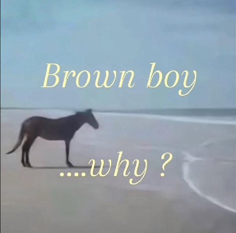 Brown boy