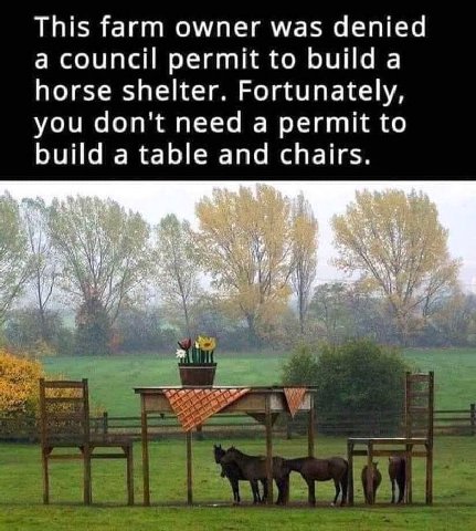 This farm owner was denied a council permit to build a horse shelter. Fortunately, you don't need a permit to build a table and chairs. я