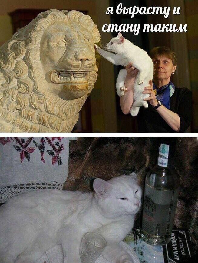 я вырасту и стану таким
