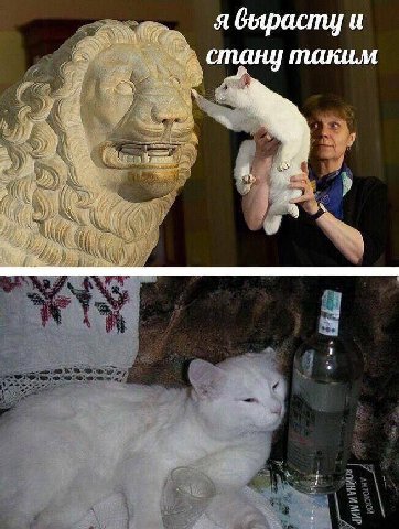 я вырасту и стану таким