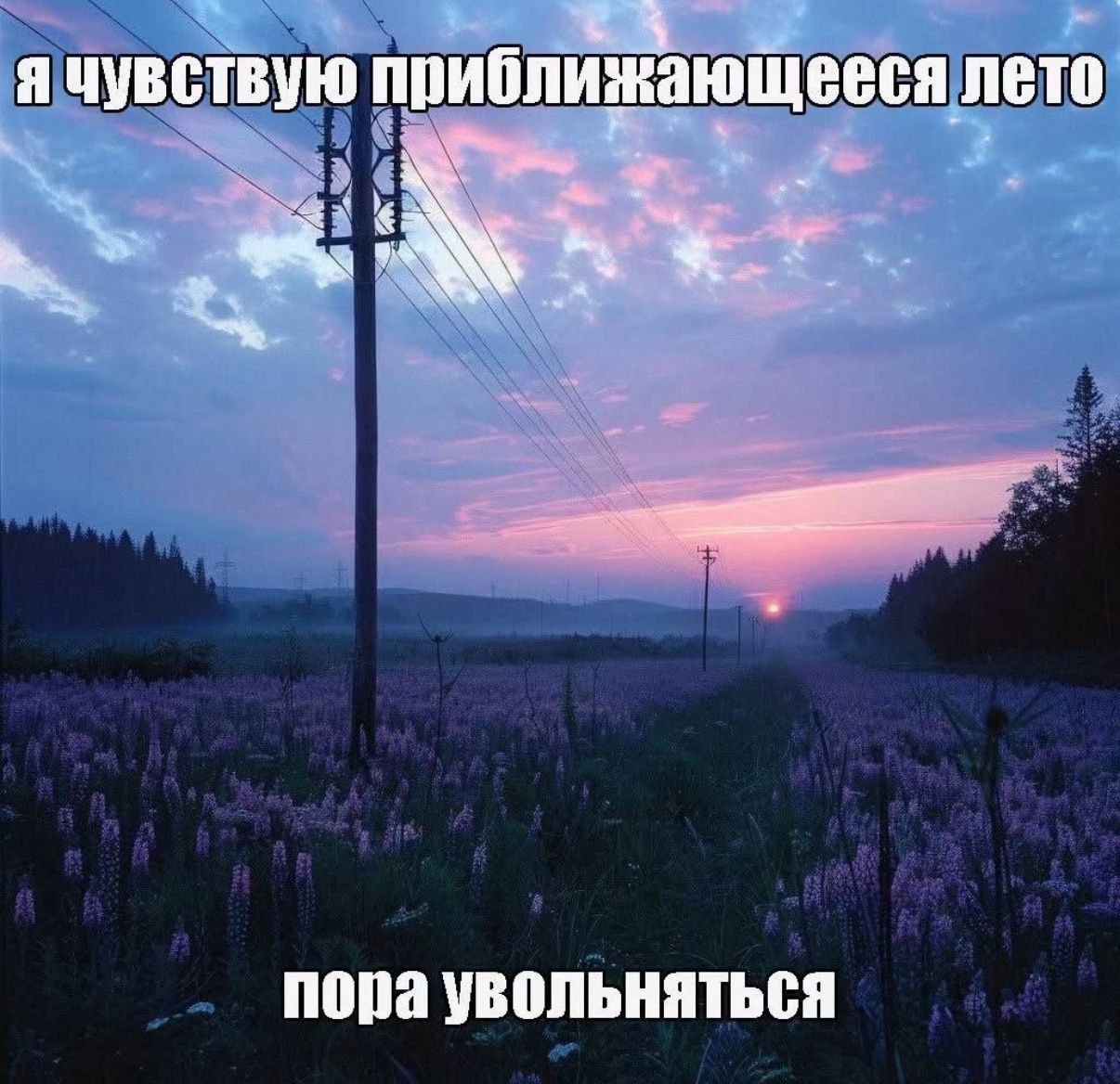я чувствую приближающееся лето 7 пора увольняться