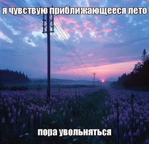 я чувствую приближающееся лето 7 пора увольняться