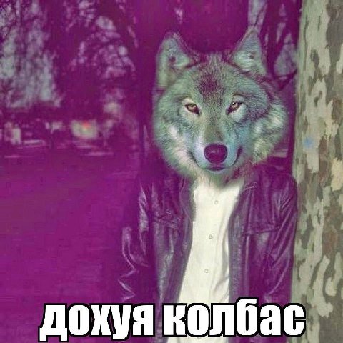 дохуя колбас