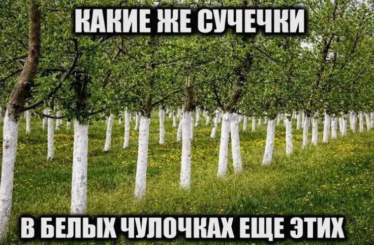 КАКИЕ ЖЕ ВБЕЛЫХ ЧУЛОЧКАХ ЕЩЕ ЭТИХ