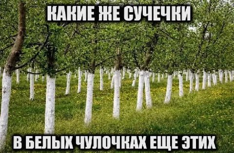 КАКИЕ ЖЕ ВБЕЛЫХ ЧУЛОЧКАХ ЕЩЕ ЭТИХ