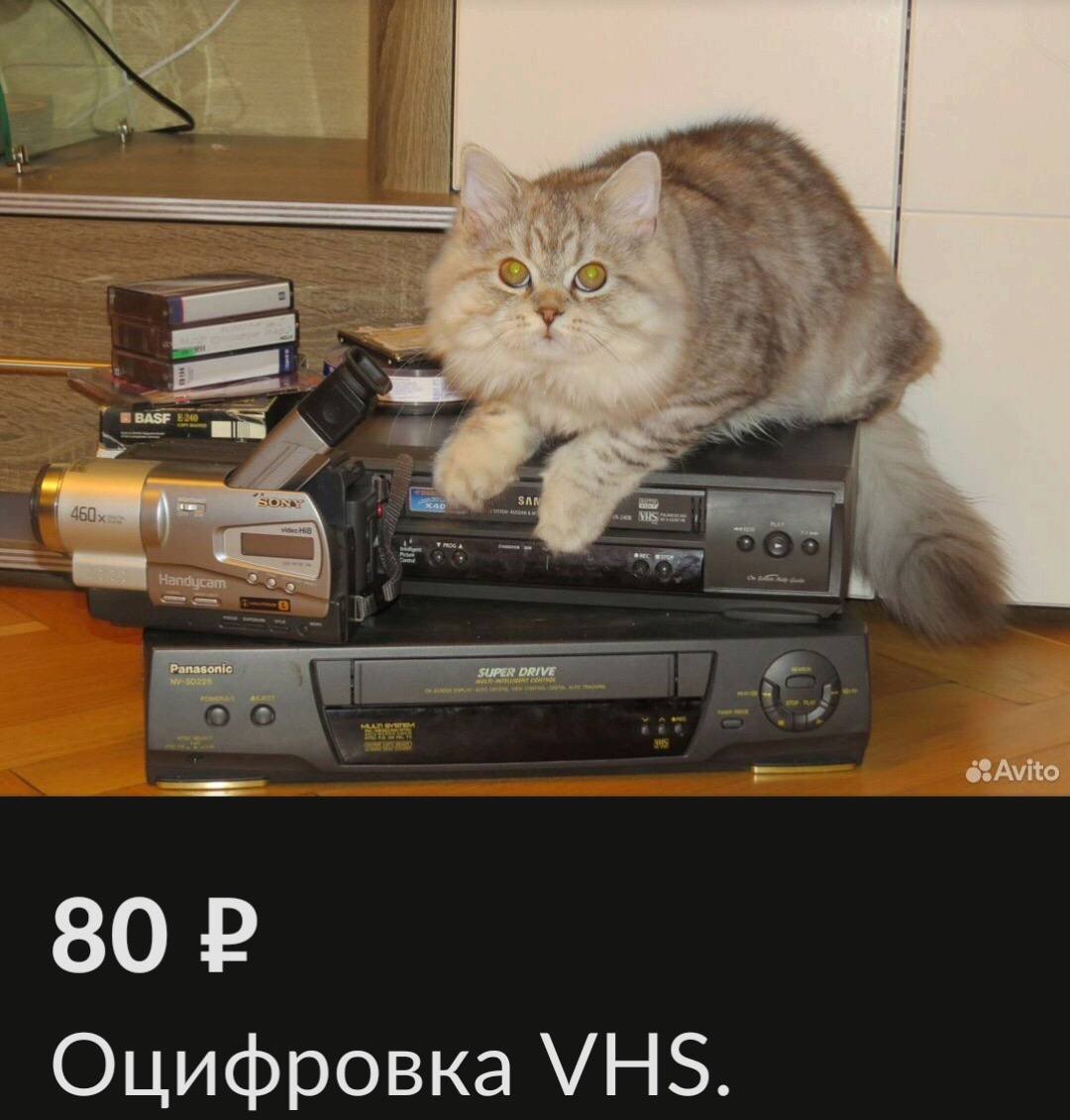 Avit 80 Оцифровка VHS.