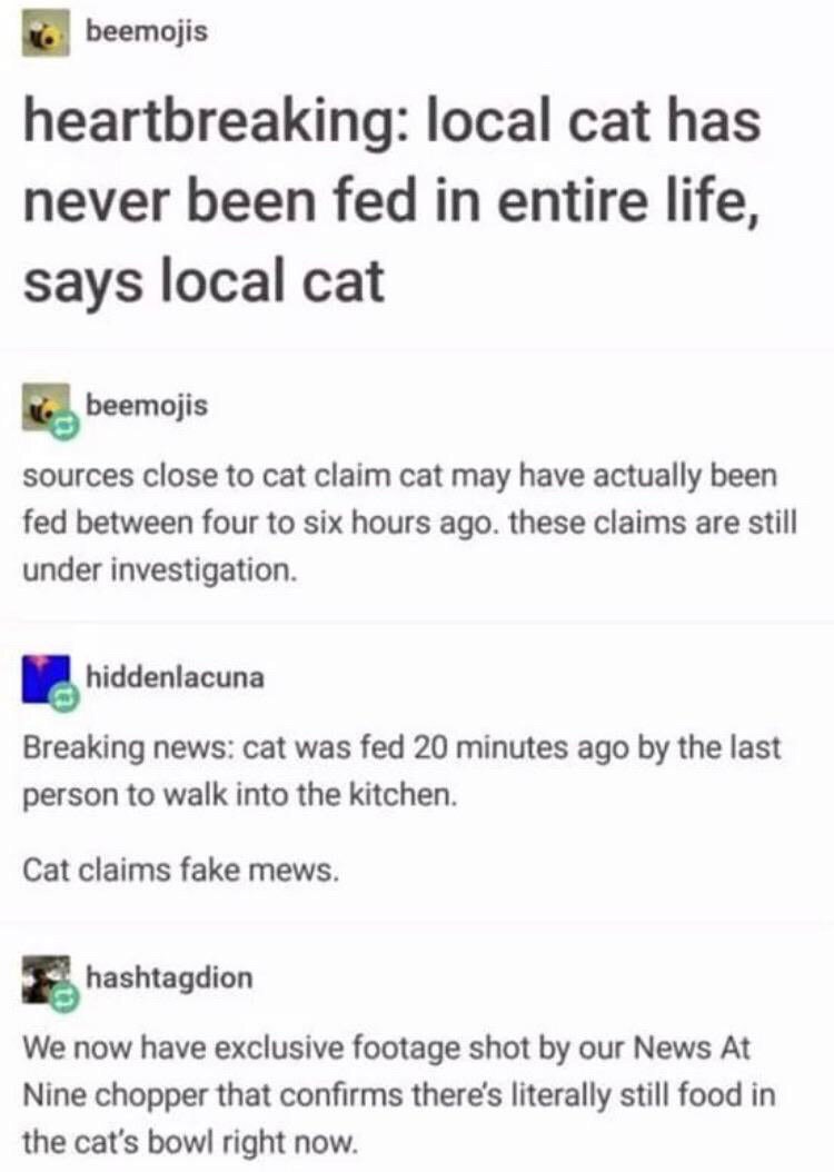 к. beemojis heartbreaking: local cat has never been fed in entire life, says local cat beemojis sources close to cat claim cat may have actually been fed between four to six hours ago. these claims ar