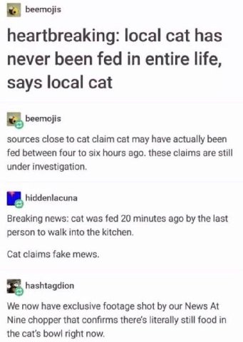 к. beemojis heartbreaking: local cat has never been fed in entire life, says local cat beemojis sources close to cat claim cat may have actually been fed between four to six hours ago. these claims ar