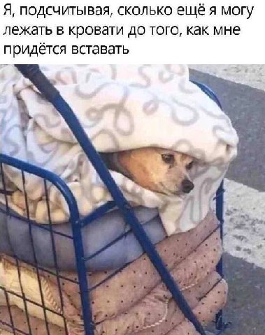 Я, подсчитывая, сколько ещё я могу лежать в кровати до того, как мне придётся вставать a