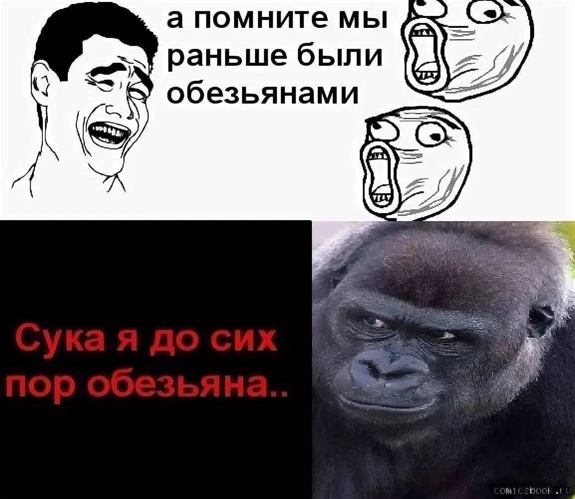 а помните мы раньше были обезьянами