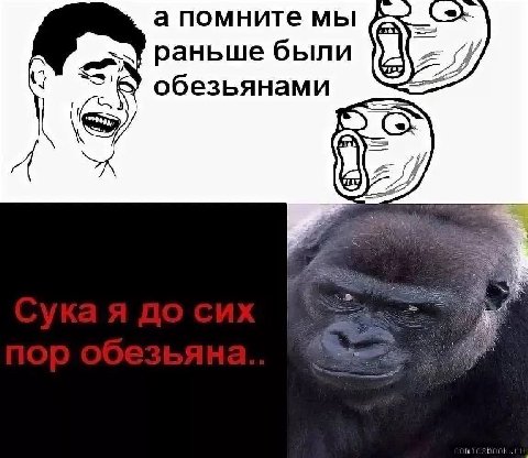 а помните мы раньше были обезьянами