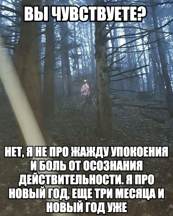 UVBCTBYETE? у: fas a 4 HET, Я HE ПРО ЖАЖДУ УПОКОЕНИЯ ИБОЛЬ ДЕИСТВИТЕЛЬНОСТИ. Я ПРО НОВЫЙ ГОД, ЕЩЕТРИ МЕСЯЦА И НОВЫЙ ГОД УЖЕ