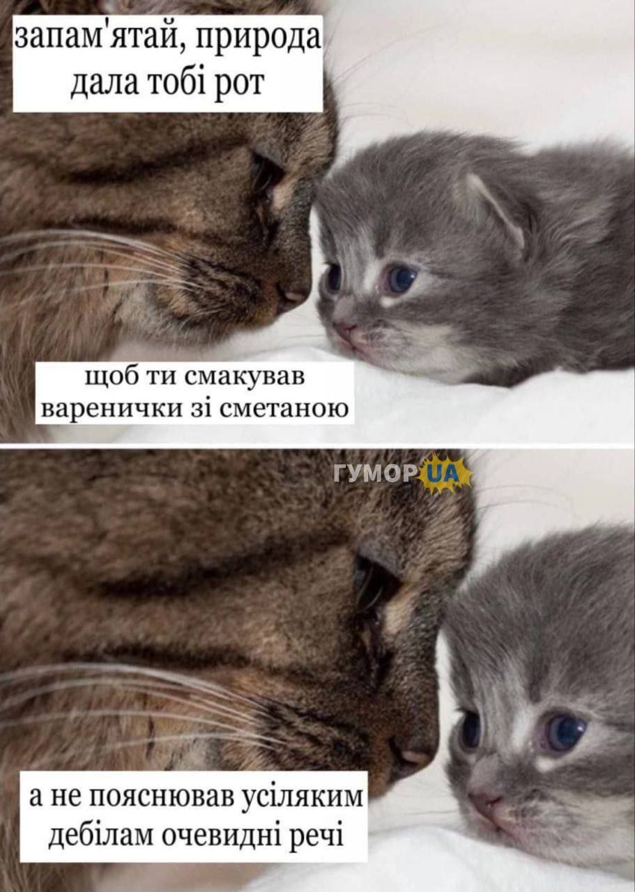 запам‘ятай, природа дала тоб1 рот щоб смакував варенички 31 сметаною ГУМОР a= a He пояснював очевидн! реч1