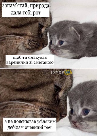 запам‘ятай, природа дала тоб1 рот щоб смакував варенички 31 сметаною ГУМОР a= a He пояснював очевидн! реч1