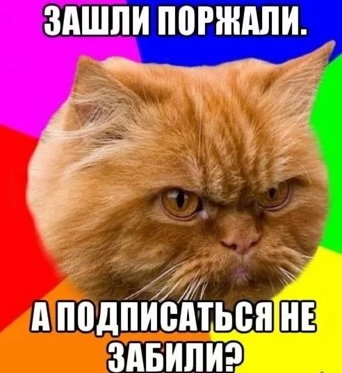 ЗАШЛИ ПОРЖАЛИ. 4 ДПИСА ЗАБИЛИ