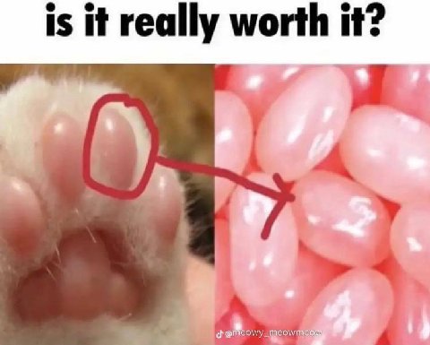 is it really worth it?