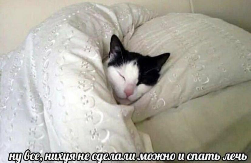 Ето я