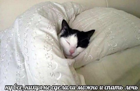 Ето я