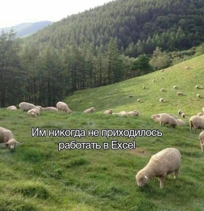 никогда не приходилось работать в Excel у