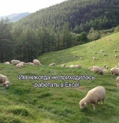 никогда не приходилось работать в Excel у