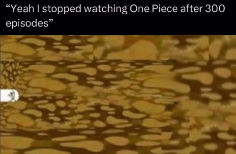 “Yeah stopped watching One Piece after 300 episodes”
