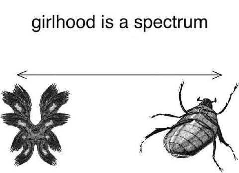 girlhood is a spectrum