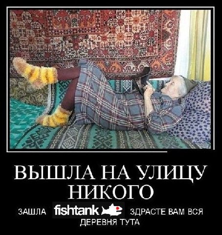 ВЫШЛА УЛИЦУ НИКОГО ЗАШЛА fishtank здРАСТЕ BAM ВСЯ ДЕРЕВНЯ ТУТА