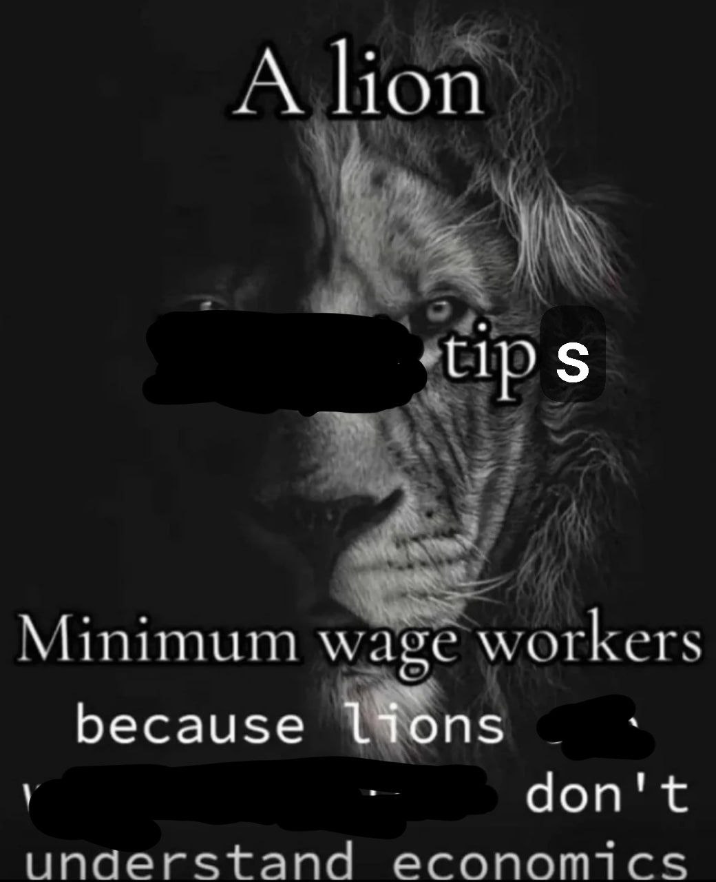 A lion Minimum wage workers a because don't understand economics