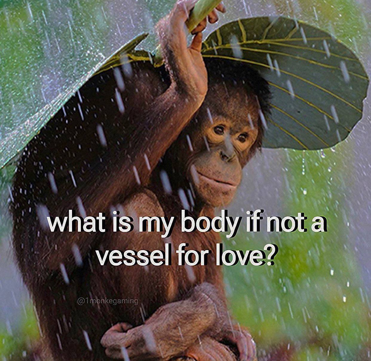 what is my body if not a vessel for love?