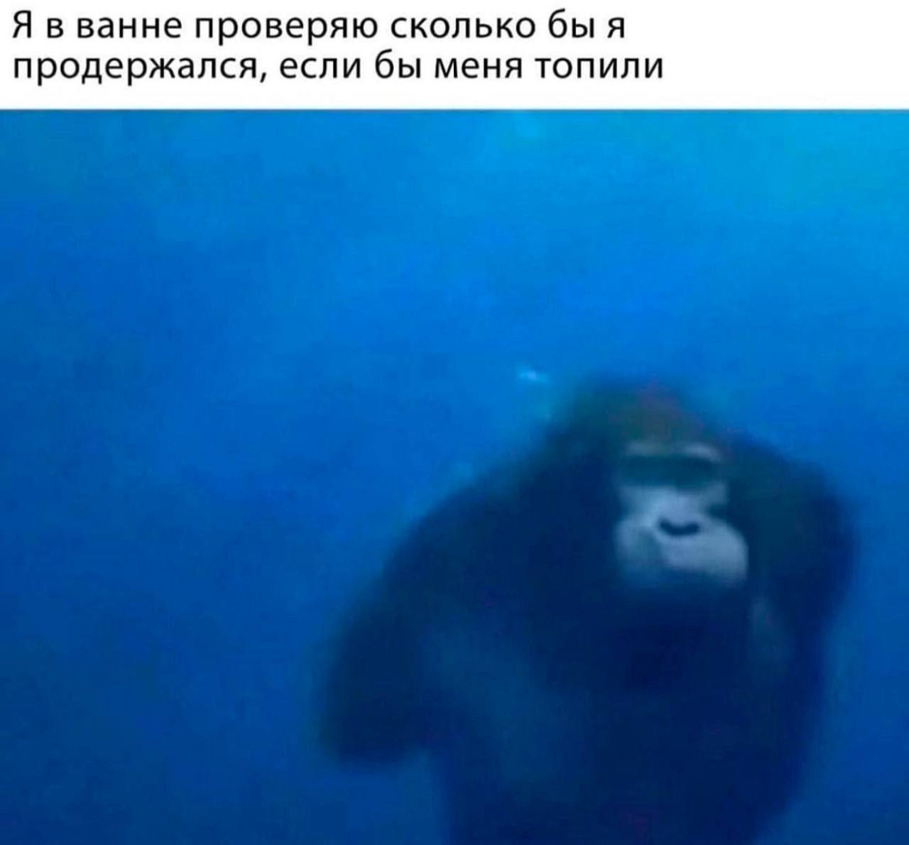 Я в ванне проверяю сколько бы я продержался, если бы меня топили