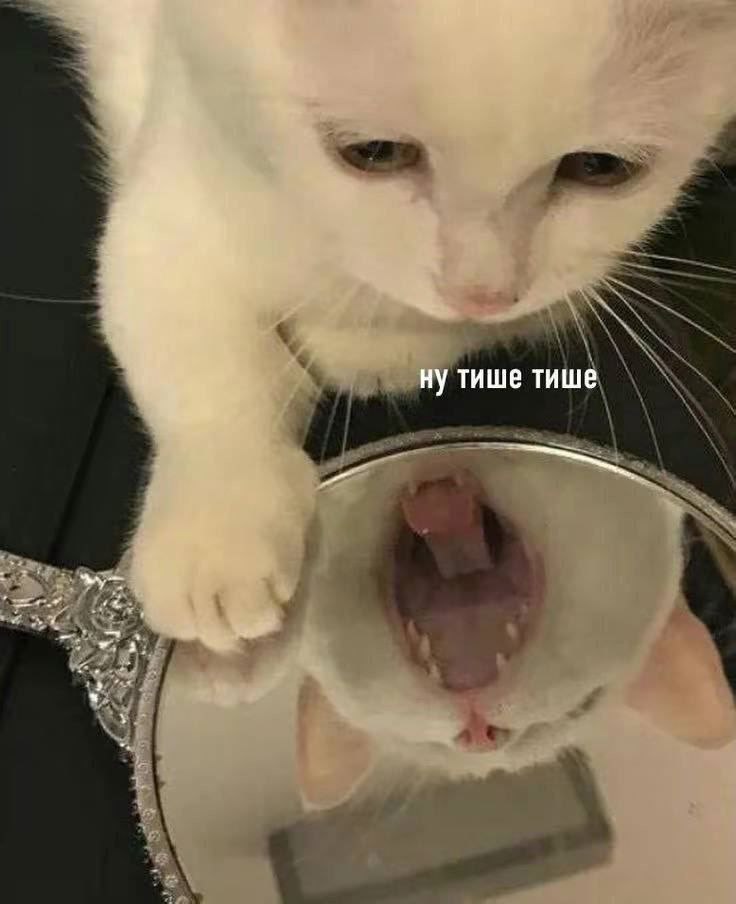 ну тише тише