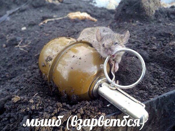 я 4 2 я 4 3 ‚4 и. 4 as