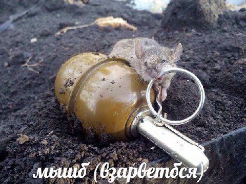 я 4 2 я 4 3 ‚4 и. 4 as