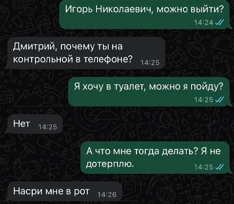 Игорь Николаевич, можно выйти? 14:24 Дмитрий, почему ты на контрольной в телефоне? Я хочу в туалет, можно я пойду? 14:25 Нет 14:25 А что мне тогда делать? Я не дотерплю. 14:25 У Насри мнев рот