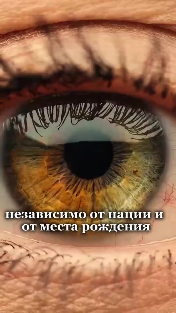 Расклад от интернет-гуру