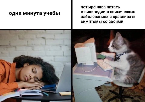 четыре часа читать в википедии о психических одна минута учебы заболеваниях и сравнивать СИМПТОМЫ! СВОИМИ