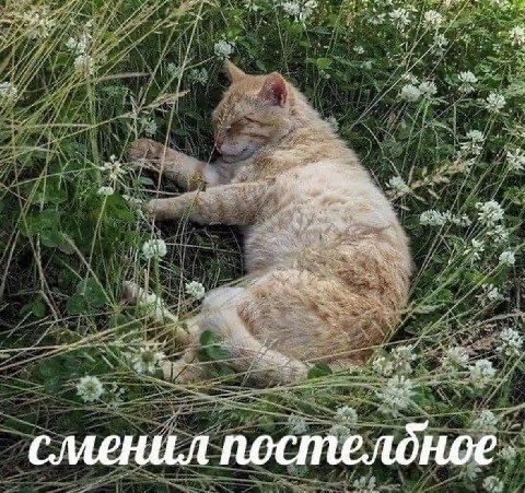 we сменил постелдное.