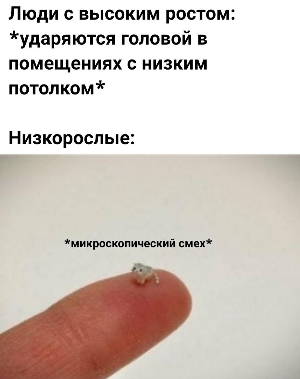 Люди с высоким ростом: *ударяются головой в помещениях с низким потолком* Низкорослые: *микроскопический смех*