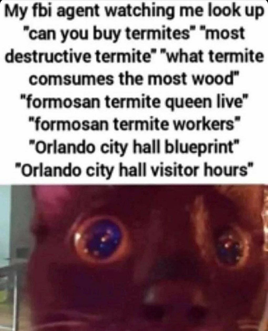 fbi agent watching me look up "can you buy termites” “most destructive termite” "what termite comsumes the most wood" “formosan termite queen live” "formosan termite workers” "Orlando city hall bluepr