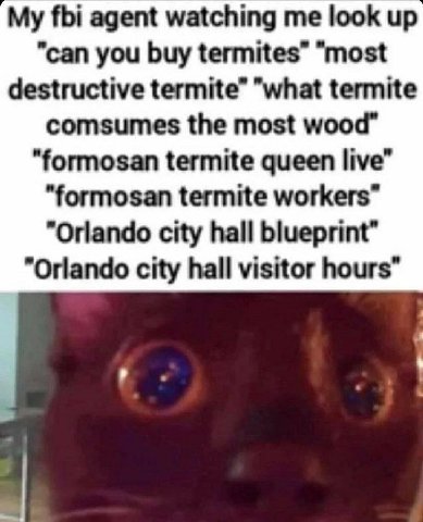 fbi agent watching me look up "can you buy termites” “most destructive termite” "what termite comsumes the most wood" “formosan termite queen live” "formosan termite workers” "Orlando city hall bluepr